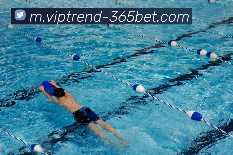 365bet平台生态图